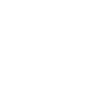 Vison