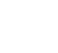 Rat musqué