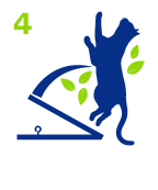 Surprendre