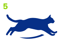 Repousser